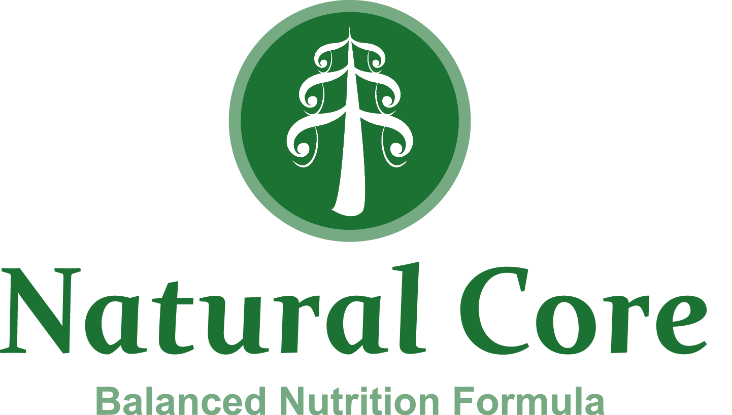 Foodking - Fast Food Restaurant WordPress Theme