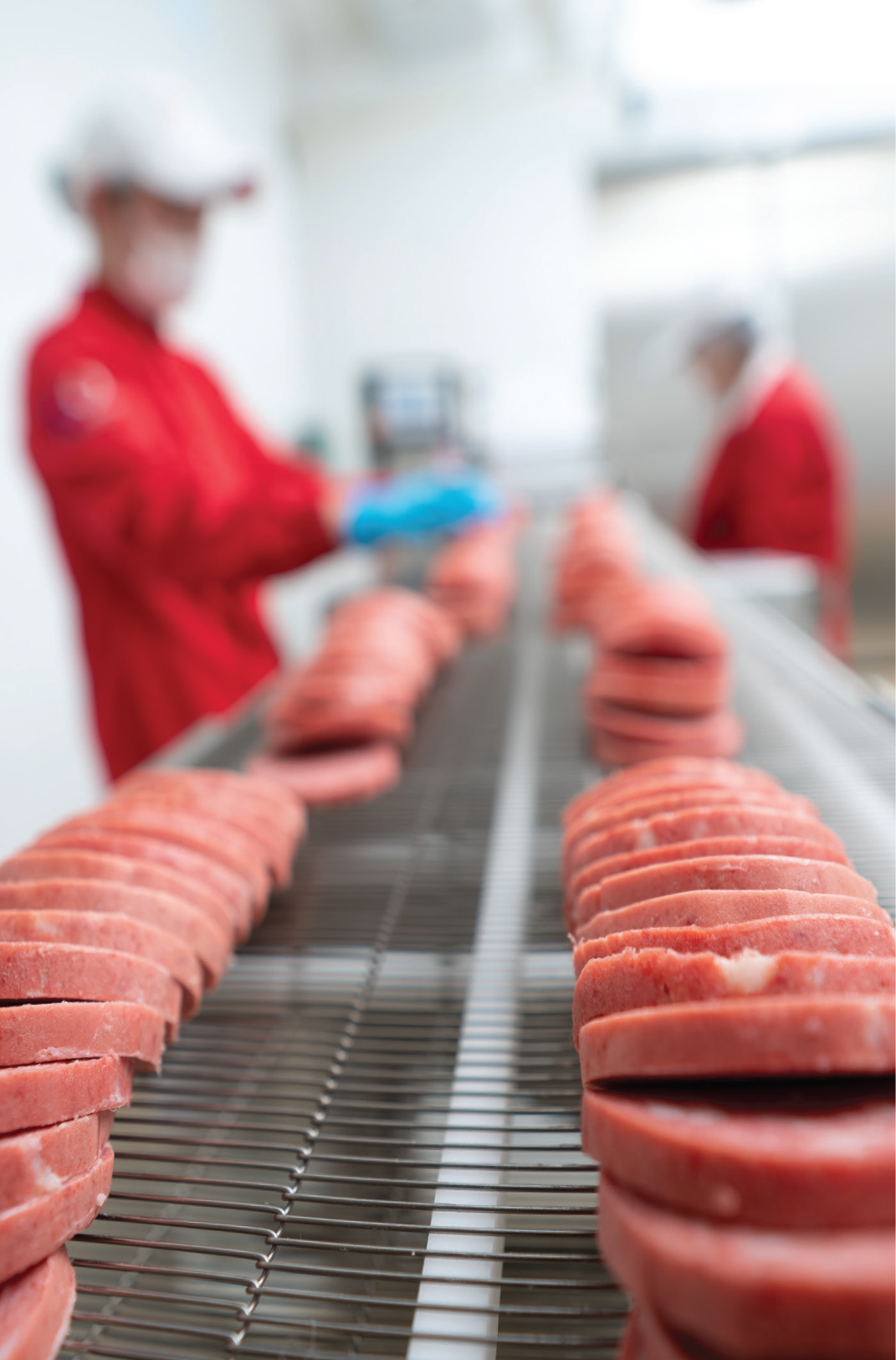 Foodking - Fast Food Restaurant WordPress Theme